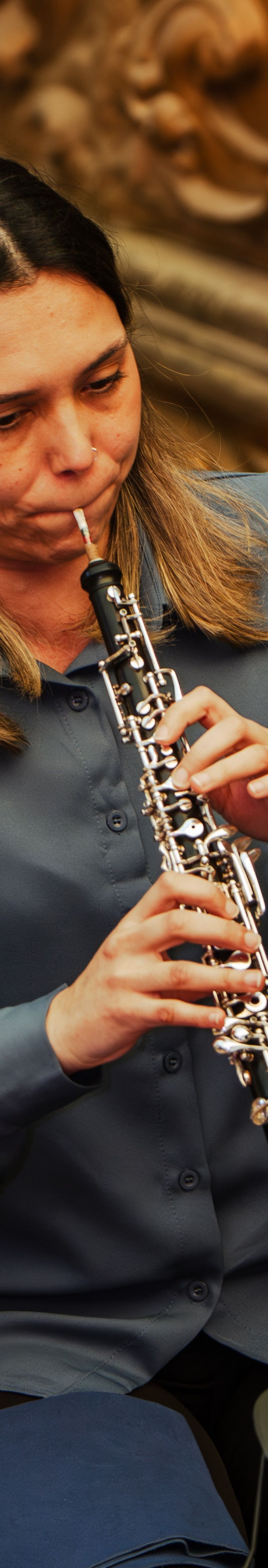 Sofia Alexandra Mendes Martins de Brito